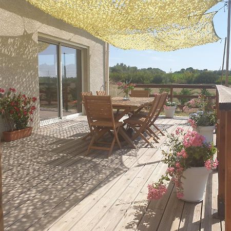 La Grange Du Cade Villa Magalas Exteriör bild