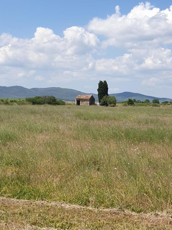 La Grange Du Cade Villa Magalas Exteriör bild